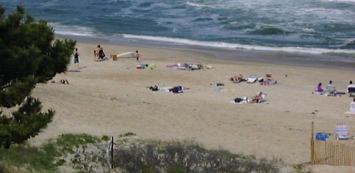 Sunbathing at I.R. Inlet